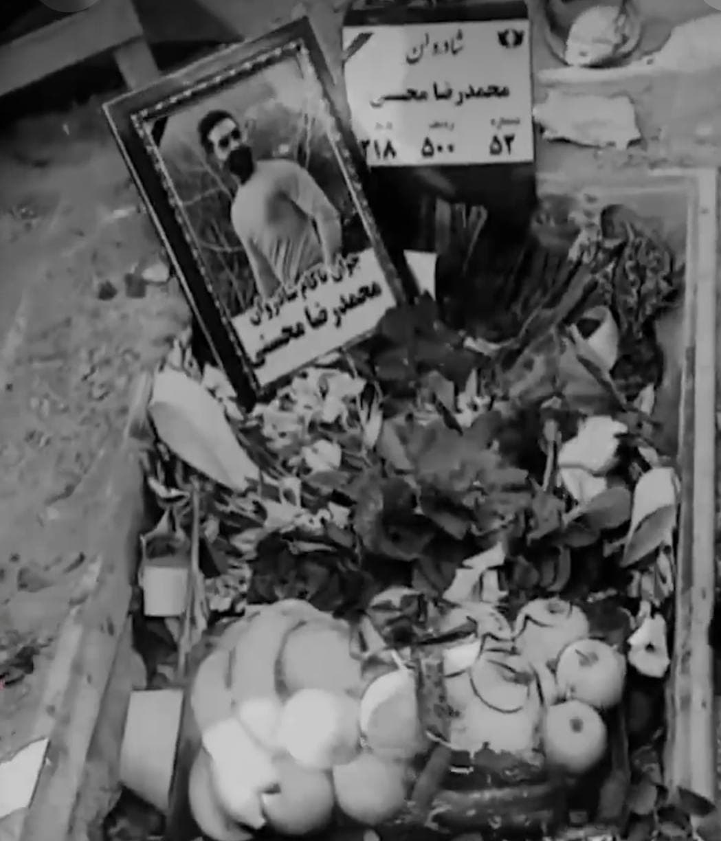 Mohammadreza Mohseni