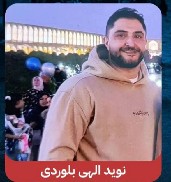 Navid Elahi Bolourdi