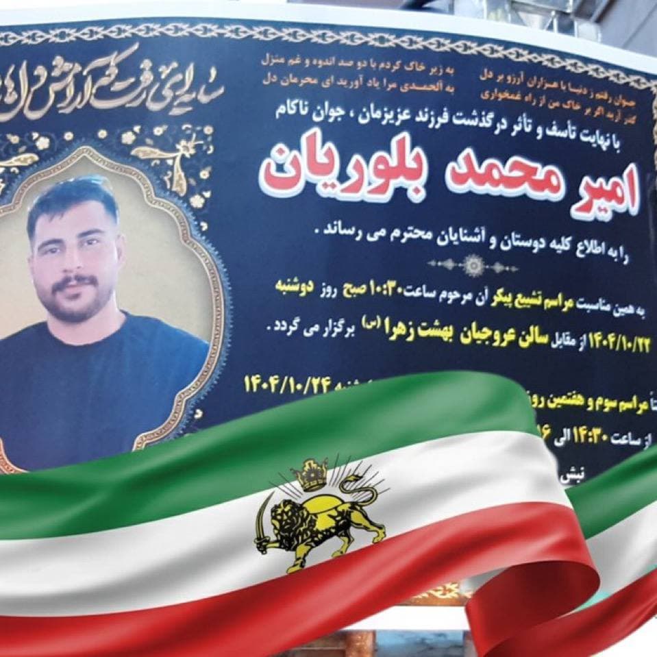 Amir Mohammad Bolourian